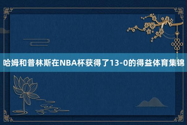 哈姆和普林斯在NBA杯获得了13-0的得益体育集锦