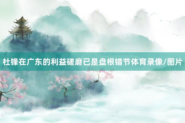 杜锋在广东的利益磋磨已是盘根错节体育录像/图片