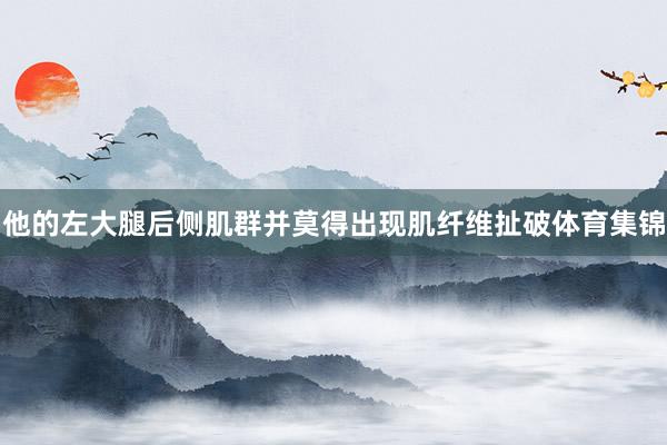 他的左大腿后侧肌群并莫得出现肌纤维扯破体育集锦