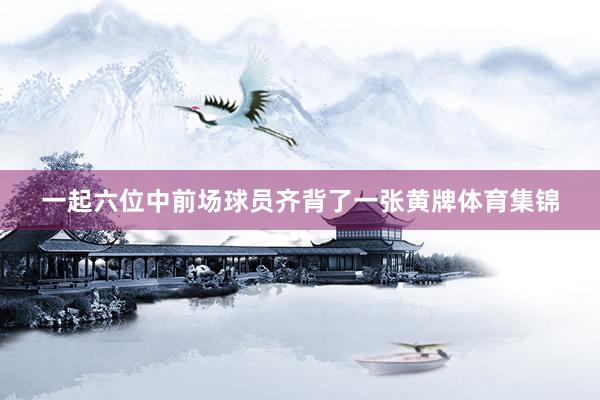 一起六位中前场球员齐背了一张黄牌体育集锦