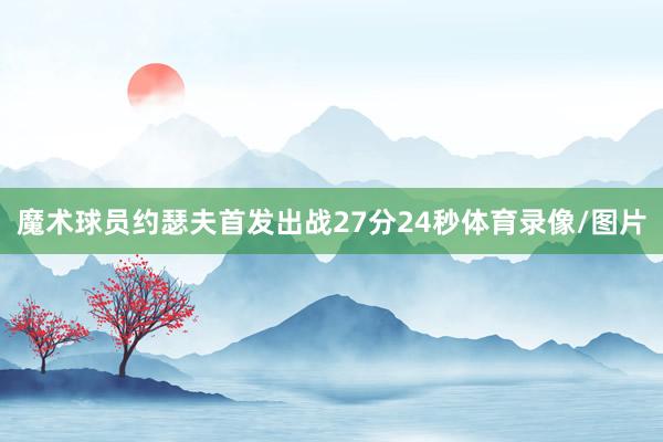 魔术球员约瑟夫首发出战27分24秒体育录像/图片