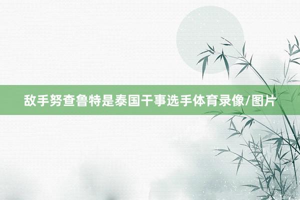 敌手努查鲁特是泰国干事选手体育录像/图片
