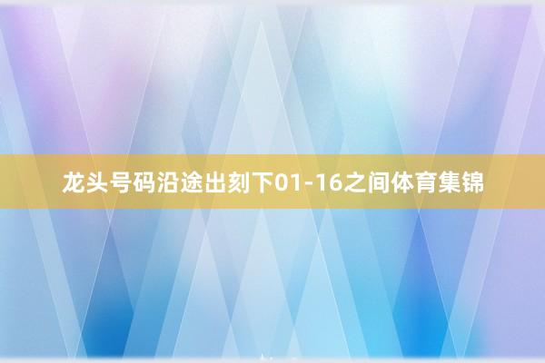 龙头号码沿途出刻下01-16之间体育集锦