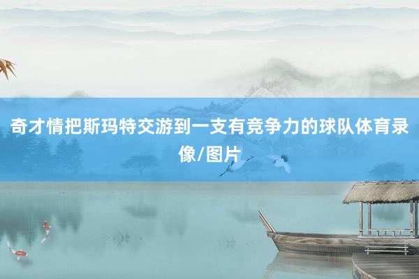 奇才情把斯玛特交游到一支有竞争力的球队体育录像/图片