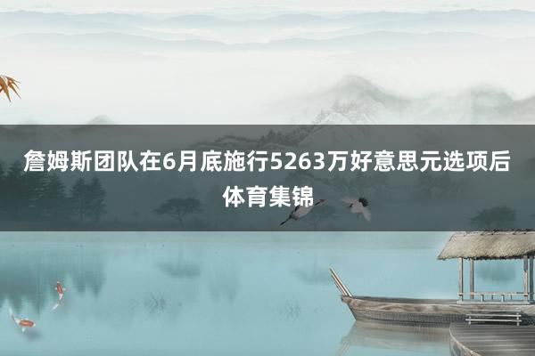 詹姆斯团队在6月底施行5263万好意思元选项后体育集锦