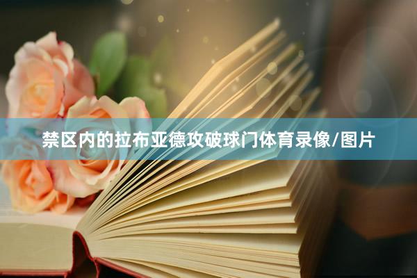 禁区内的拉布亚德攻破球门体育录像/图片