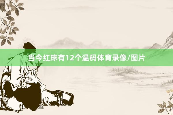 当今红球有12个温码体育录像/图片