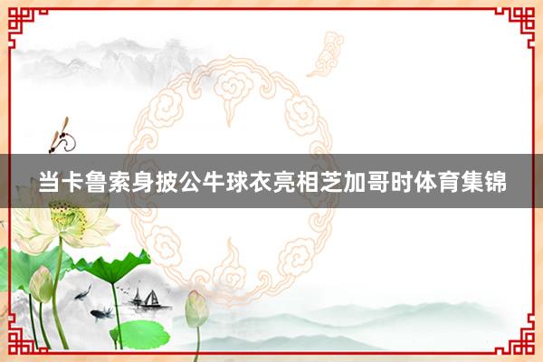当卡鲁索身披公牛球衣亮相芝加哥时体育集锦