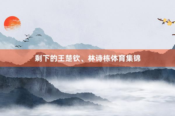 剩下的王楚钦、林诗栋体育集锦