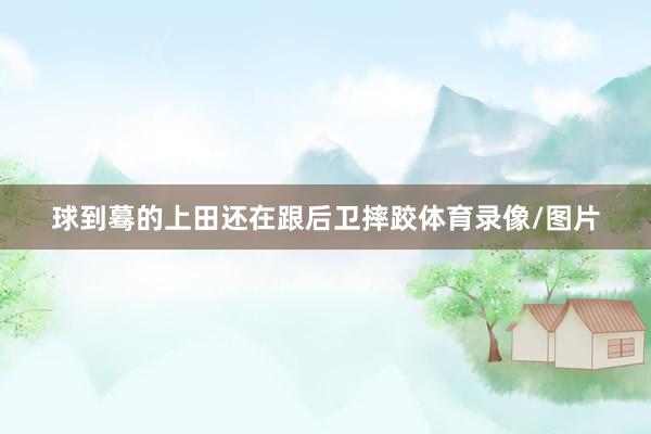 球到蓦的上田还在跟后卫摔跤体育录像/图片