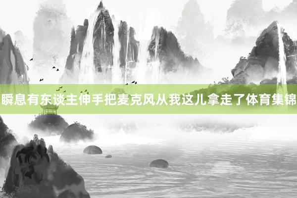 瞬息有东谈主伸手把麦克风从我这儿拿走了体育集锦