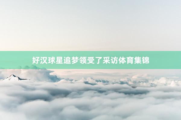 好汉球星追梦领受了采访体育集锦