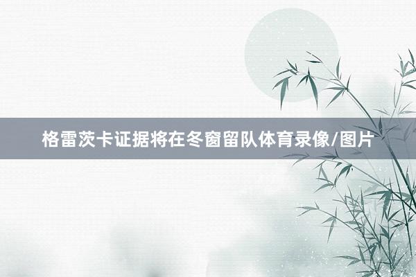 格雷茨卡证据将在冬窗留队体育录像/图片