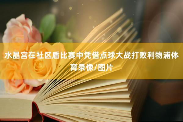 水晶宫在社区盾比赛中凭借点球大战打败利物浦体育录像/图片
