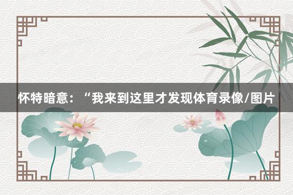 怀特暗意:“我来到这里才发现体育录像/图片