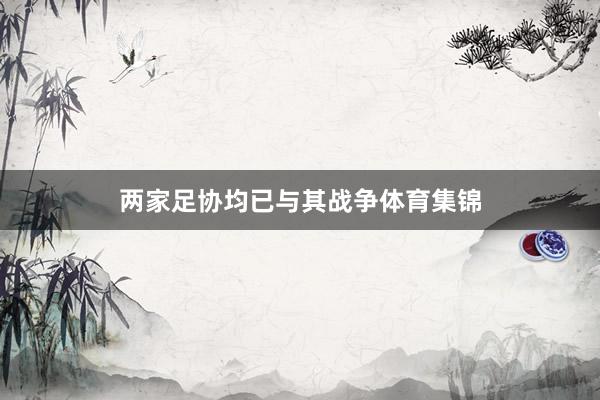 两家足协均已与其战争体育集锦