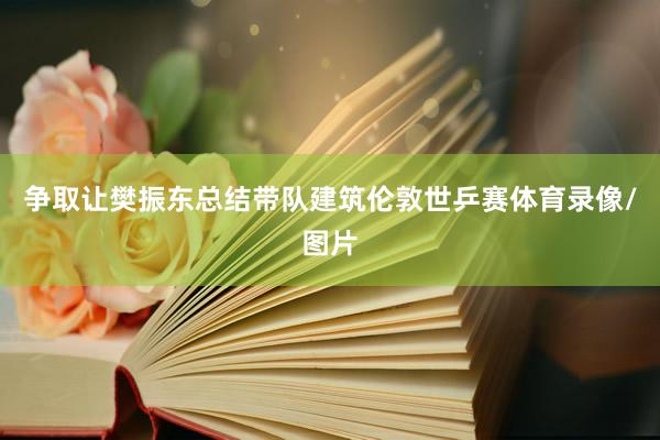 争取让樊振东总结带队建筑伦敦世乒赛体育录像/图片