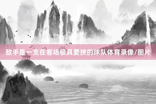 敌手是一支在客场极具要挟的球队体育录像/图片