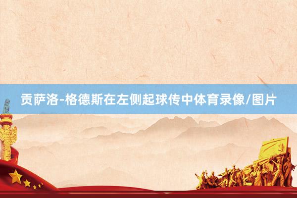 贡萨洛-格德斯在左侧起球传中体育录像/图片