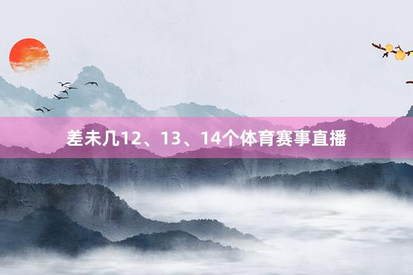 差未几12、13、14个体育赛事直播