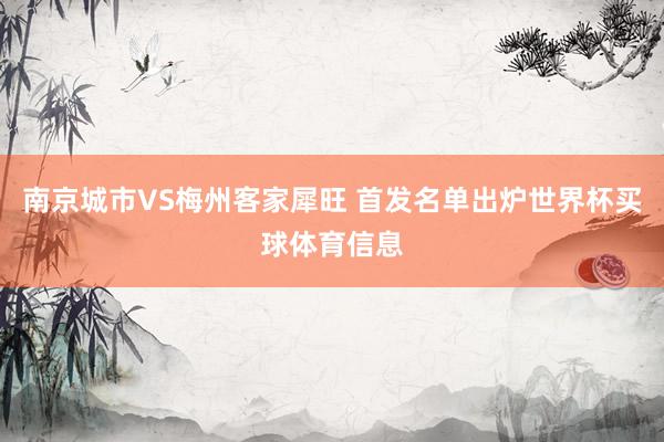 南京城市VS梅州客家犀旺 首发名单出炉世界杯买球体育信息
